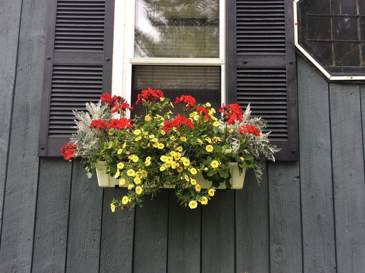 Firefly Bed & Breakfast Lincoln Esterno foto