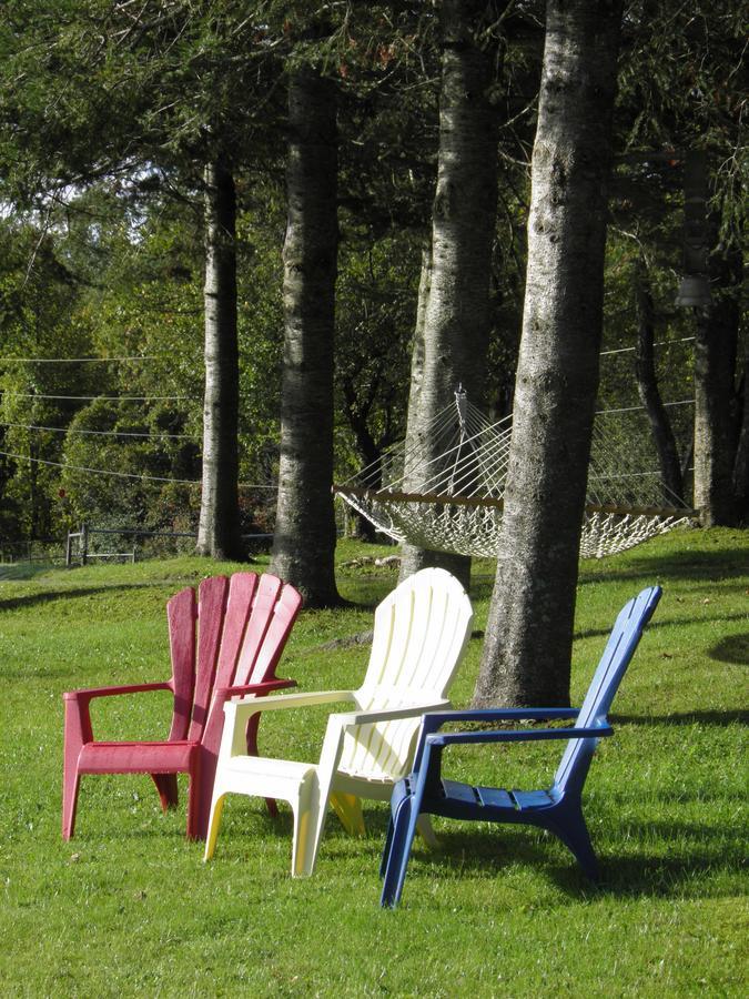Firefly Bed & Breakfast Lincoln Esterno foto
