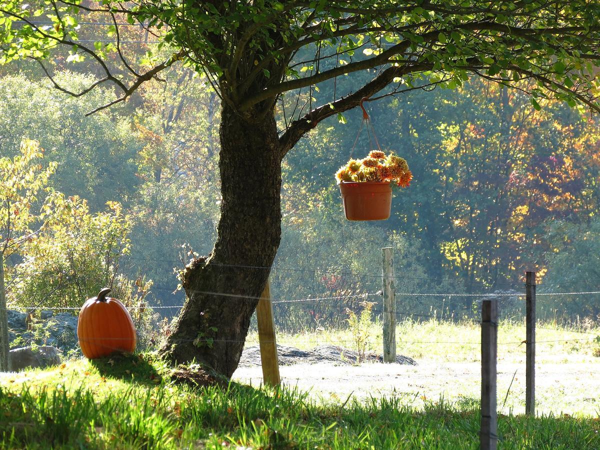Firefly Bed & Breakfast Lincoln Esterno foto