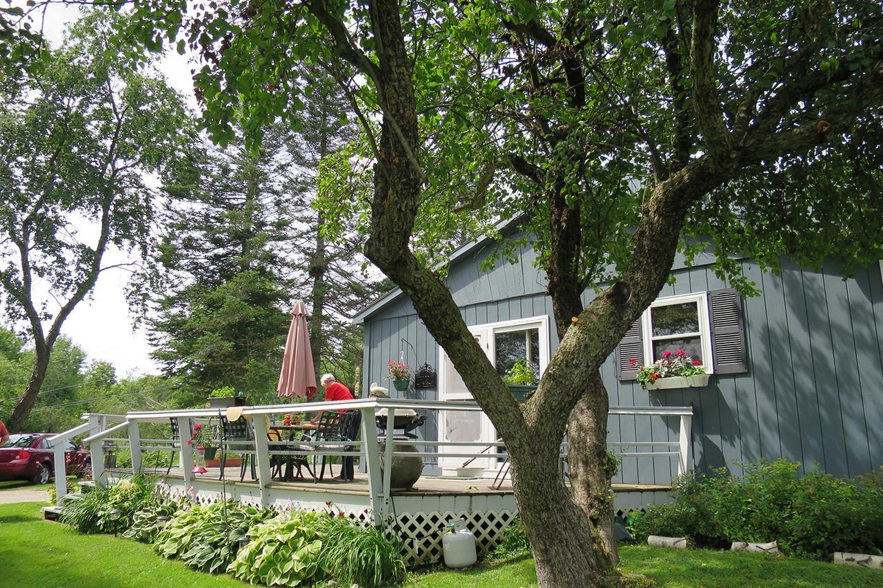 Firefly Bed & Breakfast Lincoln Esterno foto