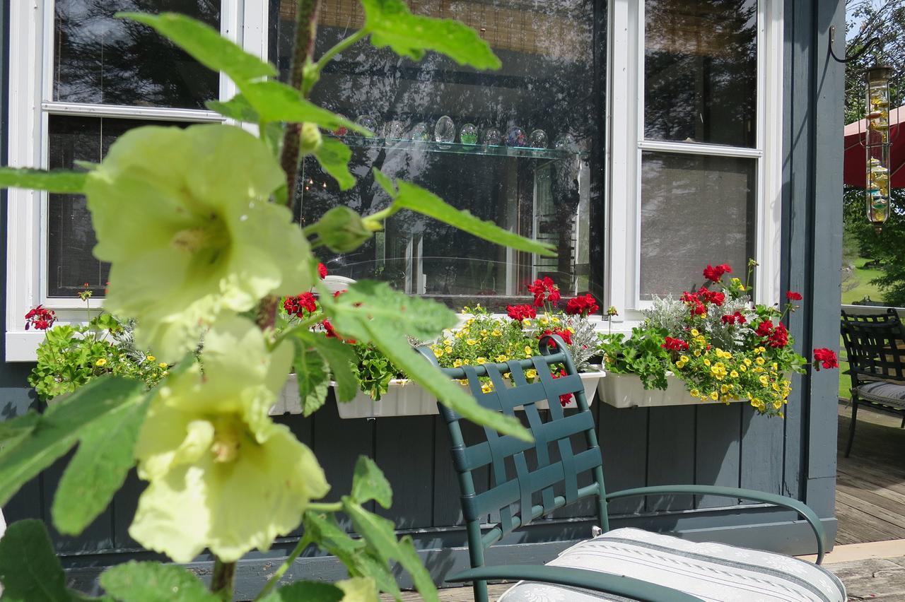 Firefly Bed & Breakfast Lincoln Esterno foto