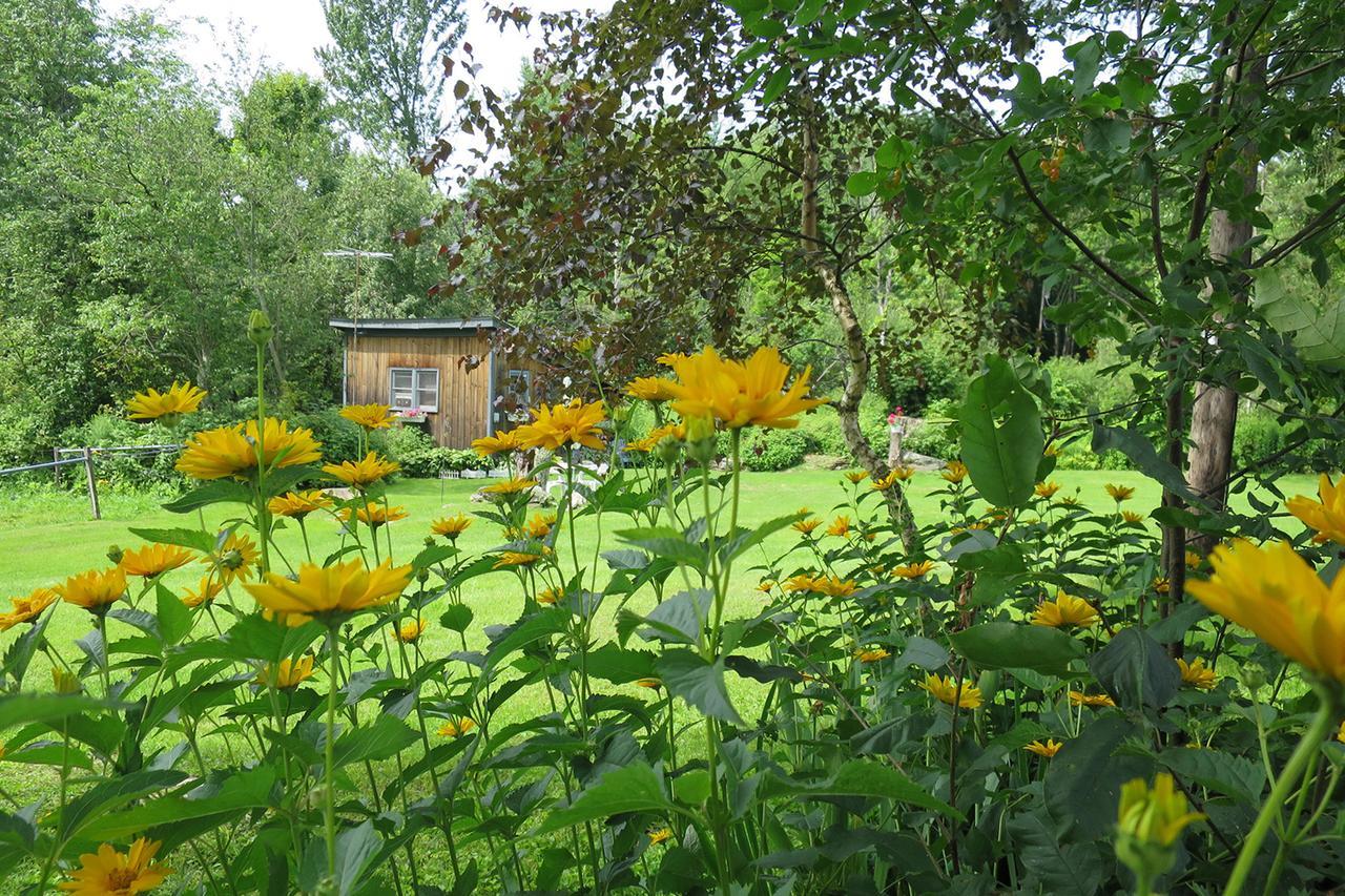 Firefly Bed & Breakfast Lincoln Esterno foto