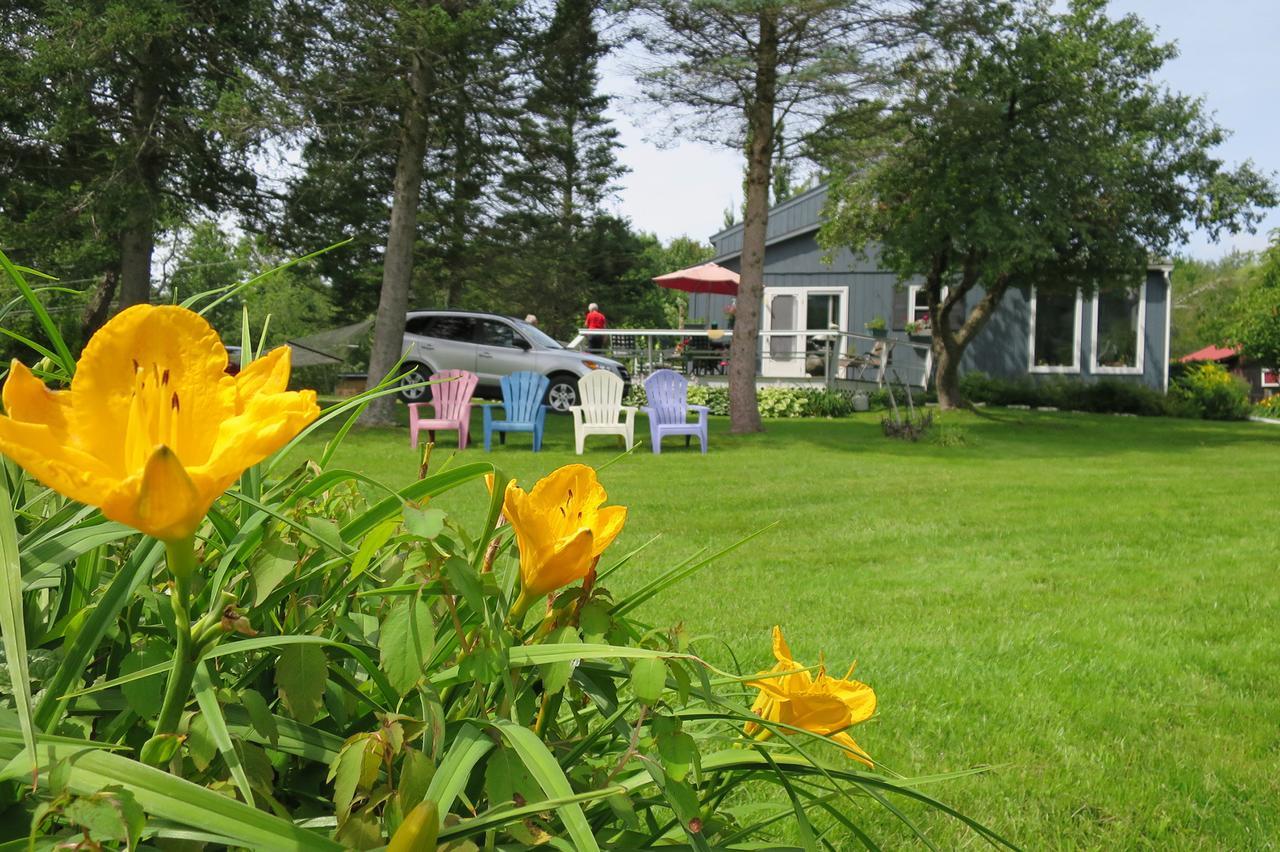 Firefly Bed & Breakfast Lincoln Esterno foto