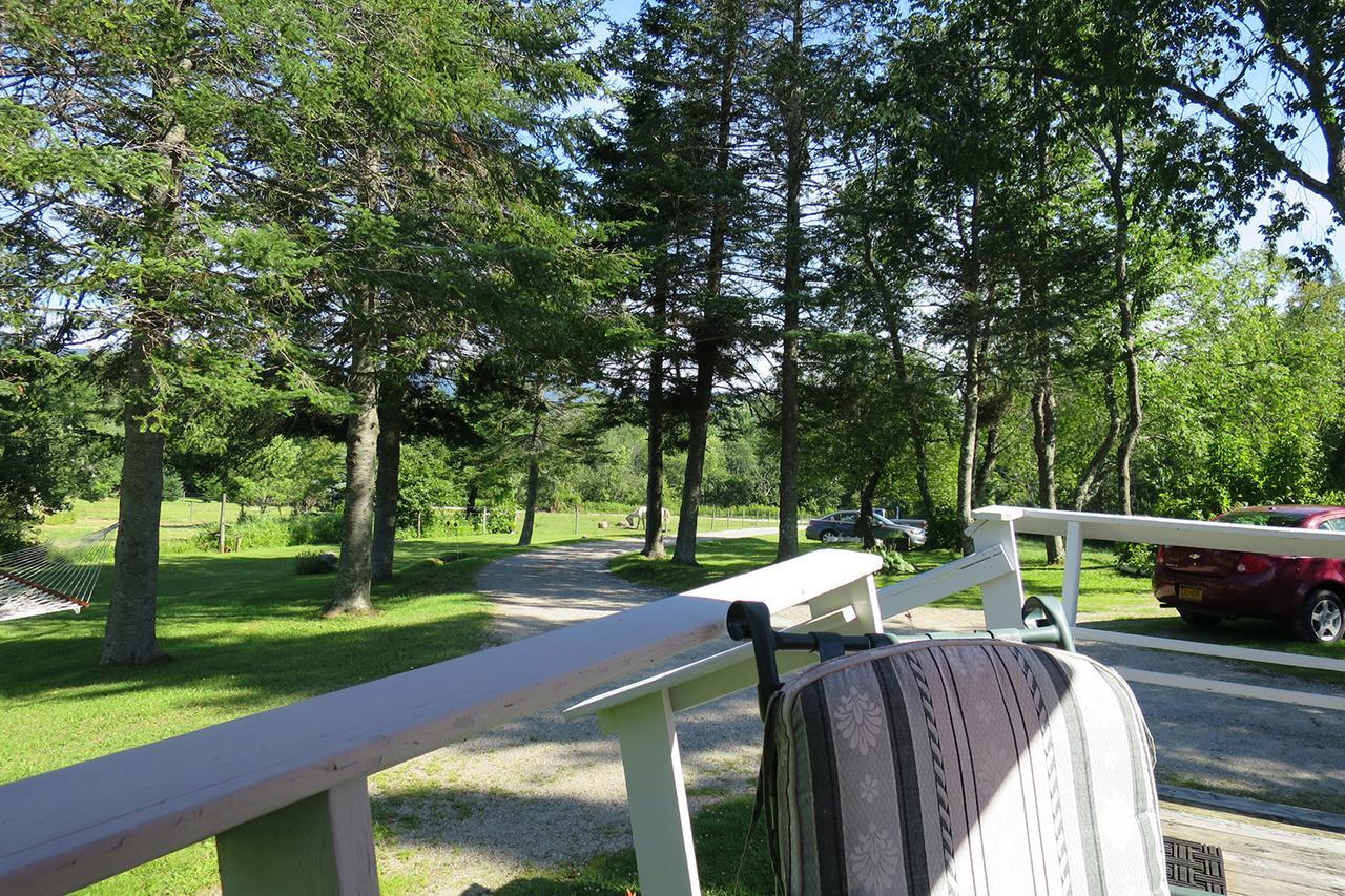 Firefly Bed & Breakfast Lincoln Esterno foto