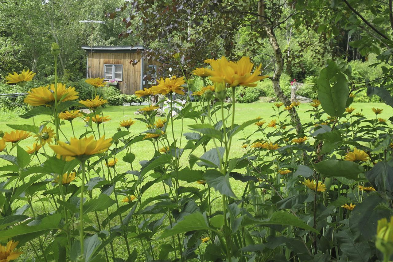 Firefly Bed & Breakfast Lincoln Esterno foto